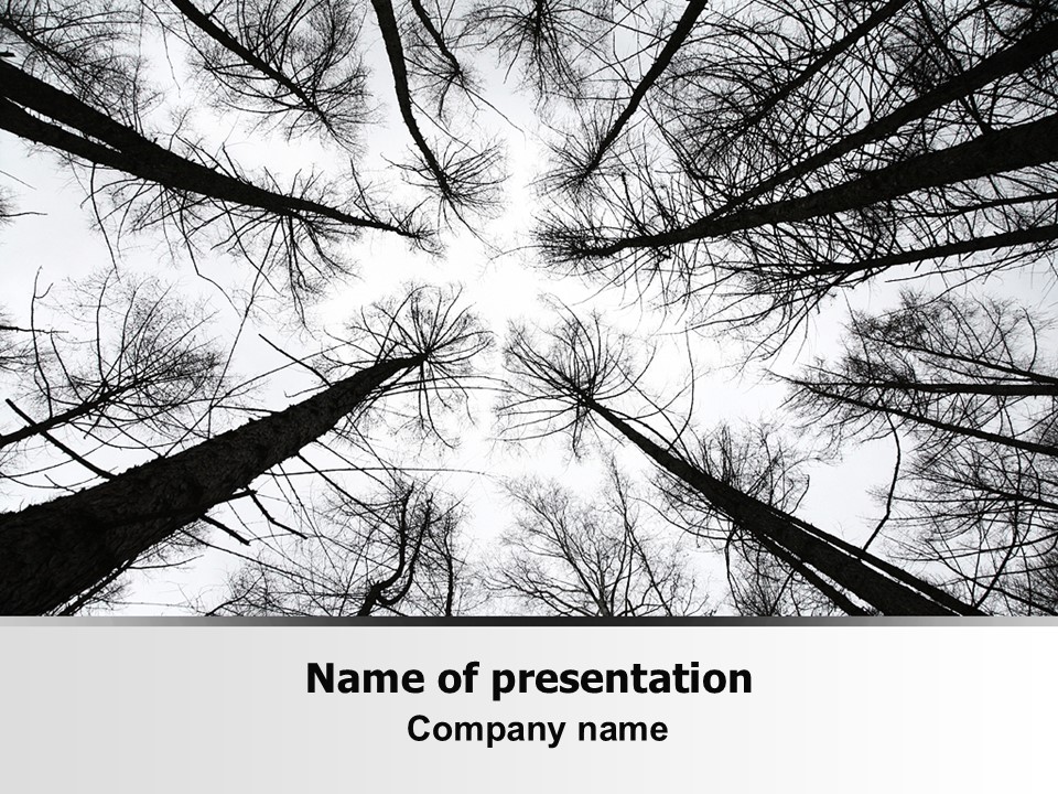 Winter Trees - Free Google Slides theme and PowerPoint template
