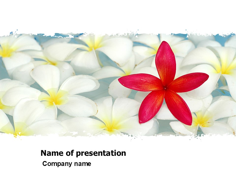 Spring Flowers - Free Google Slides theme and PowerPoint template
