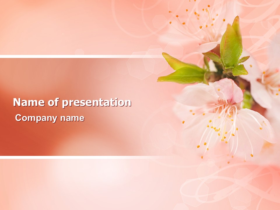 Peach Colored - Free Google Slides theme and PowerPoint template
