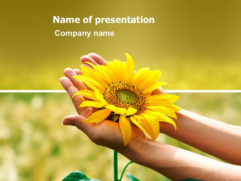 Summer Flower - Free Google Slides theme and PowerPoint template
