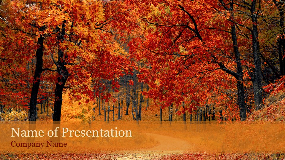 Beautiful Autumn Forest - Free Google Slides theme and PowerPoint template
