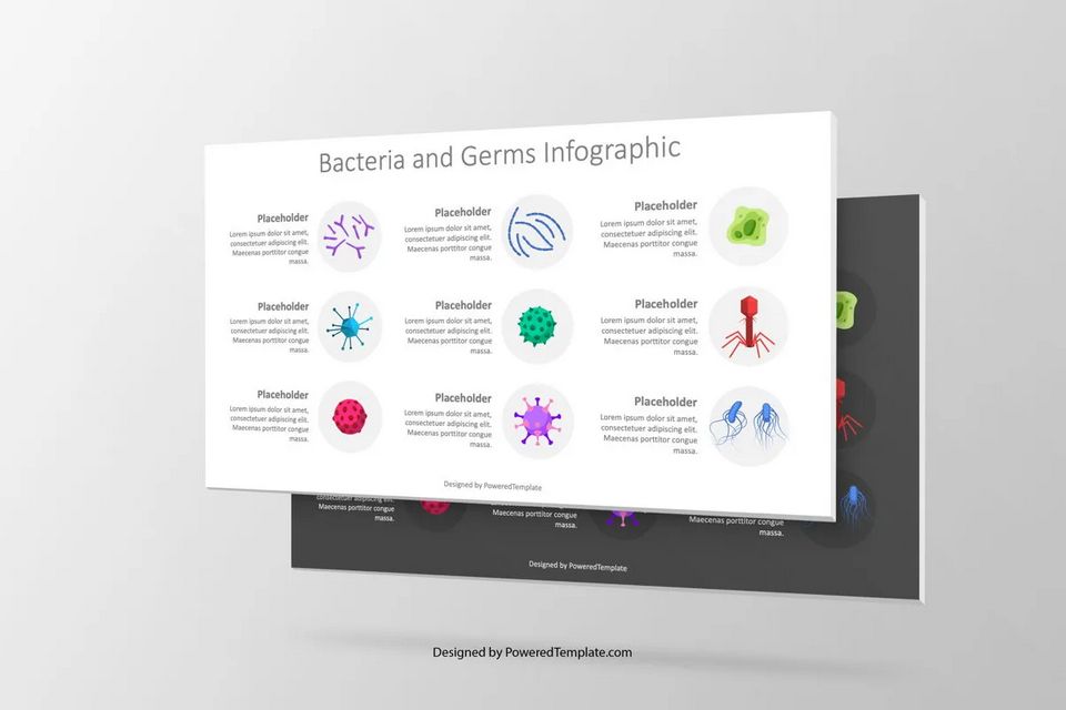 Bacteria and Germs Infographic - Free Google Slides theme and PowerPoint template
