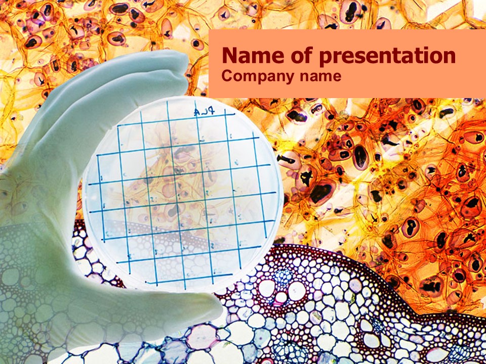 Bacterial Culture - Free Google Slides theme and PowerPoint template
