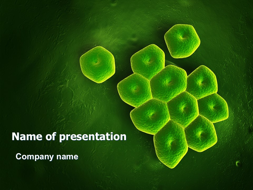 Acinetobacter - Free Google Slides theme and PowerPoint template
