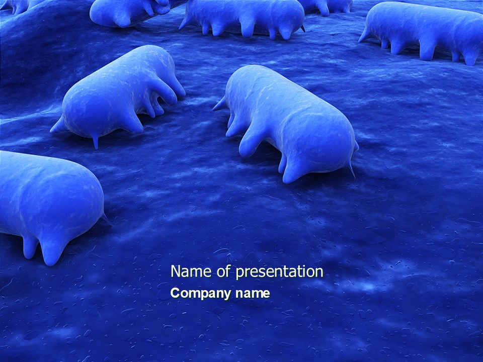 Salmonella - Free Google Slides theme and PowerPoint template
