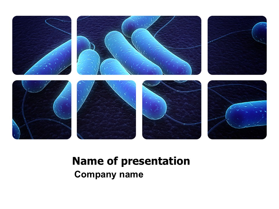 Bacteriology - Free Google Slides theme and PowerPoint template
