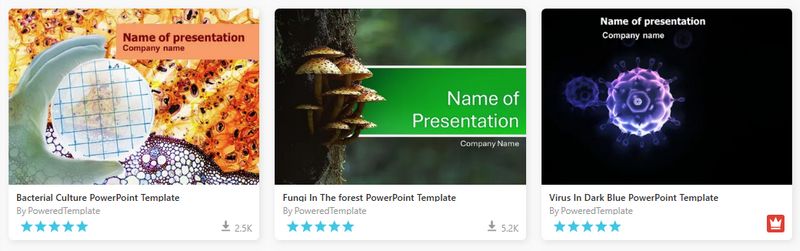 Explore More Virus Presentation Templates Using Search Keywords