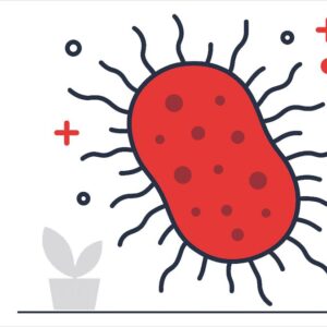 Bacteria presentation templates are an excellent resource for anyone creating presentations related to microbiology, healthcare, or scientific research.
