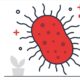 20 Free Bacteria Presentation Templates